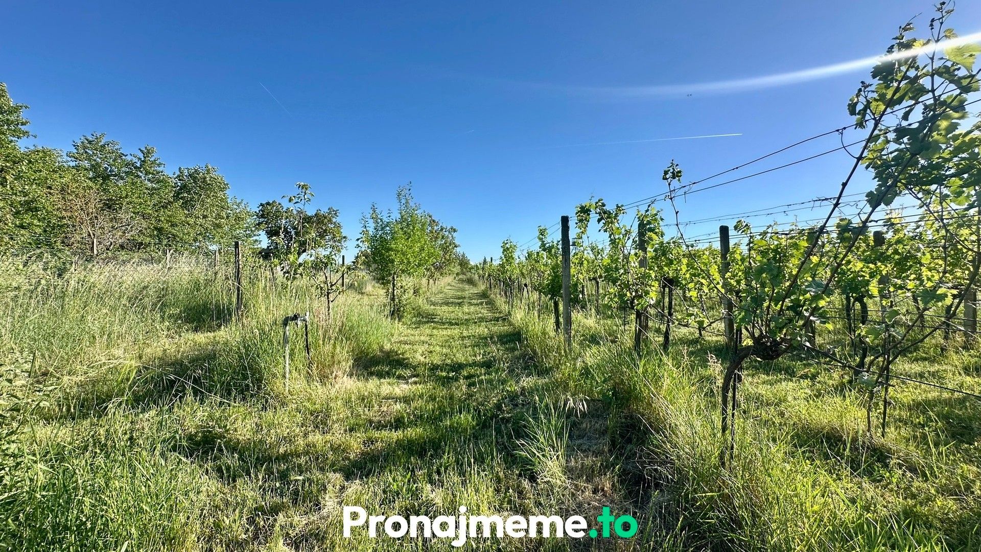 Pronájem nemovitosti 1759 m² - foto 3