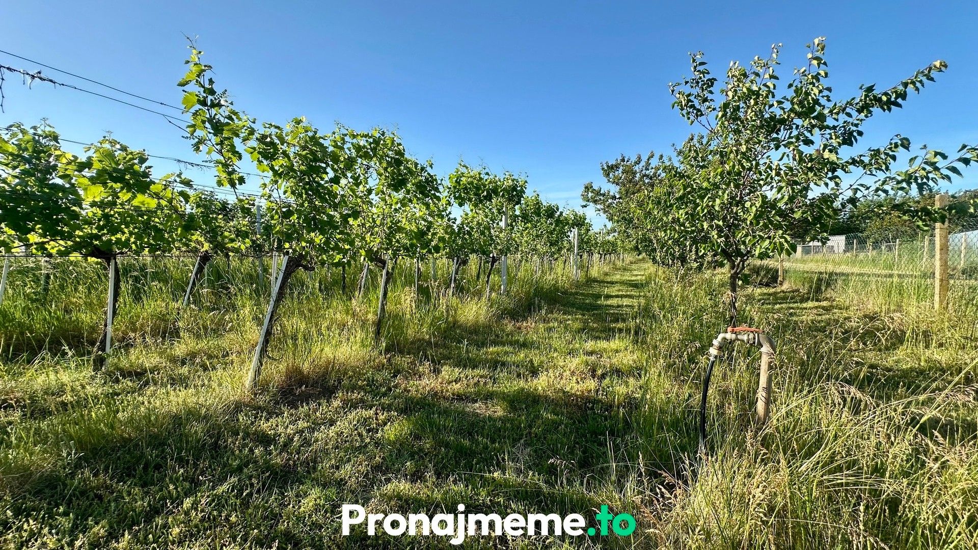 Pronájem nemovitosti 1759 m² - foto 6