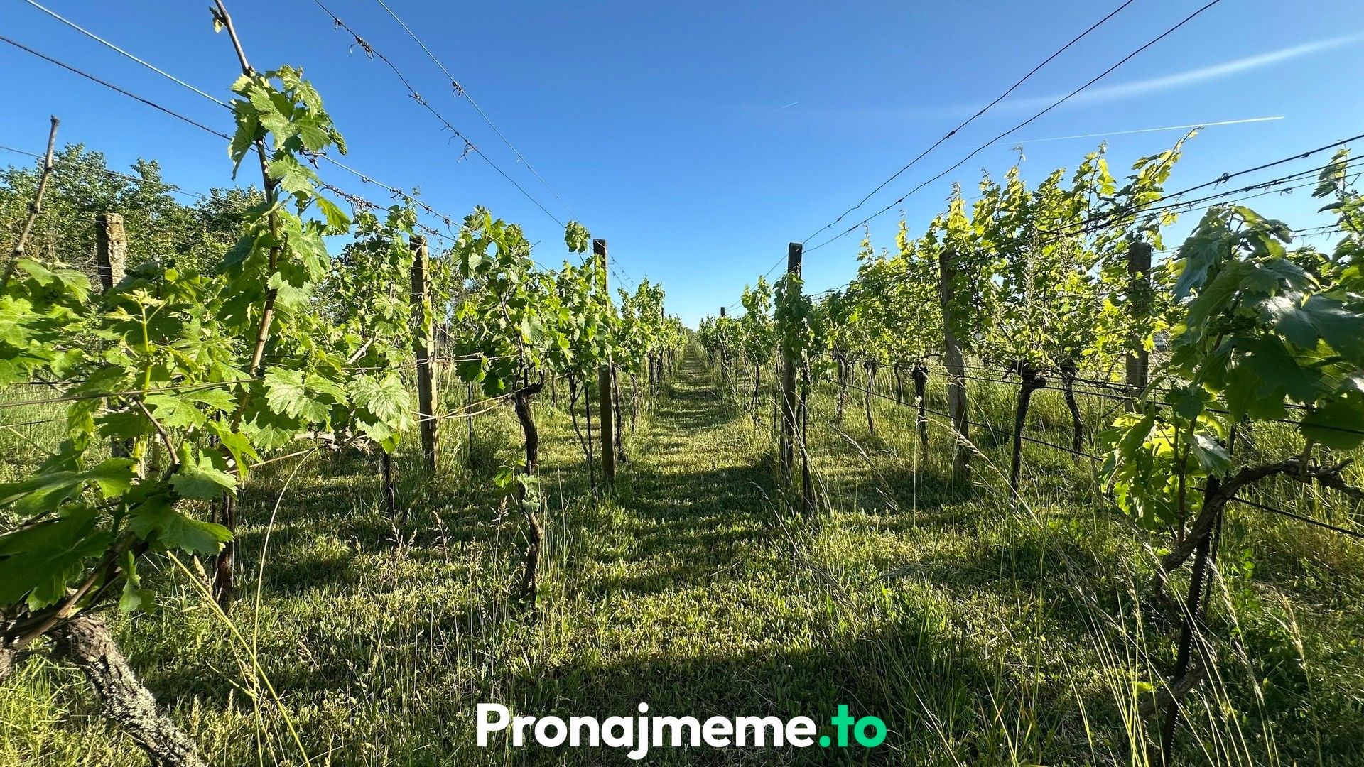 Pronájem nemovitosti 1759 m² - foto 7