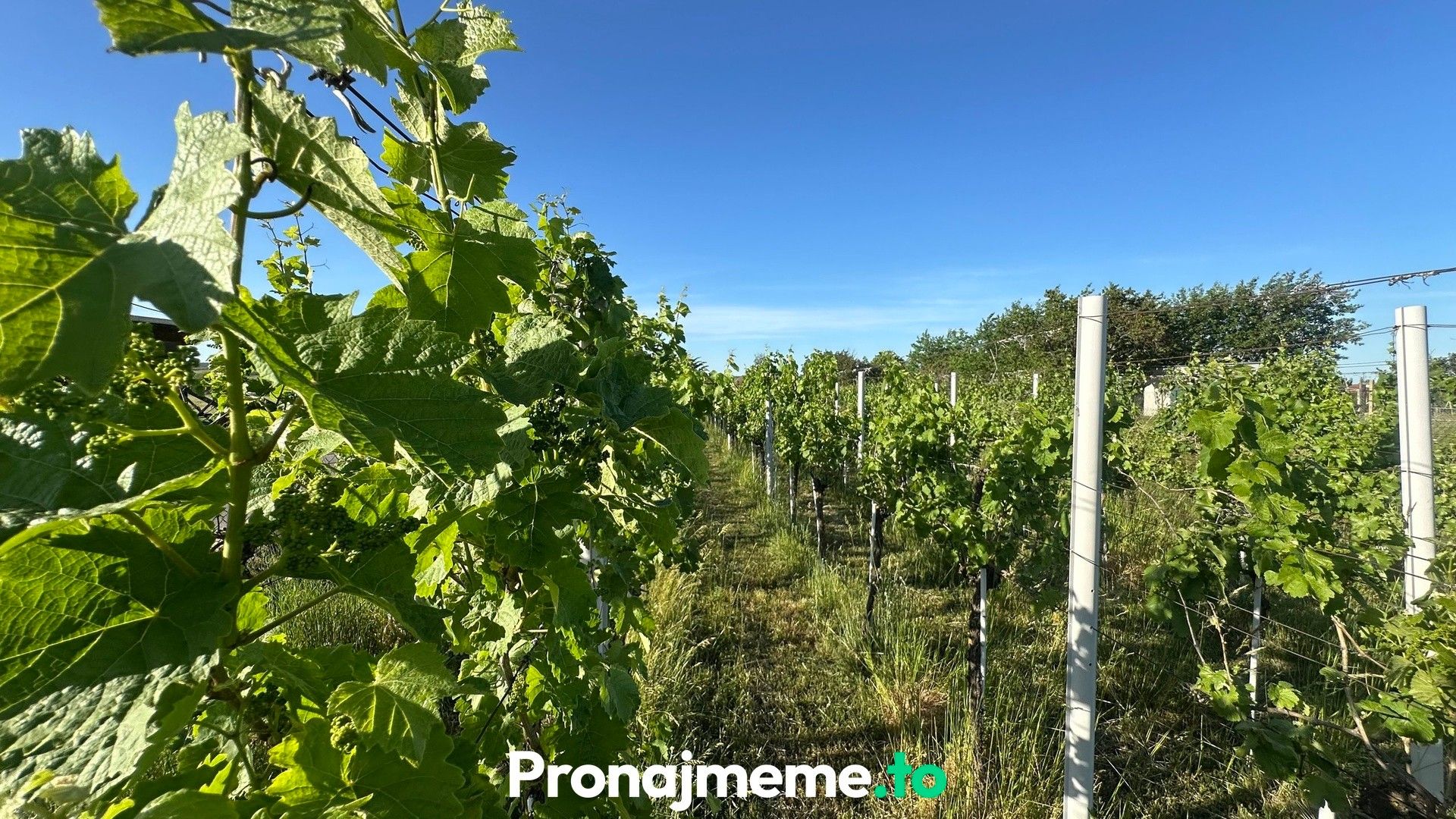 Pronájem nemovitosti 1759 m² - foto 8
