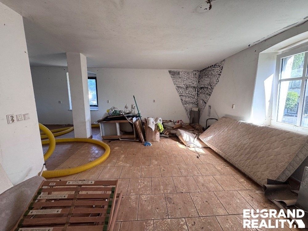 Prodej domu 510 m² - foto 6