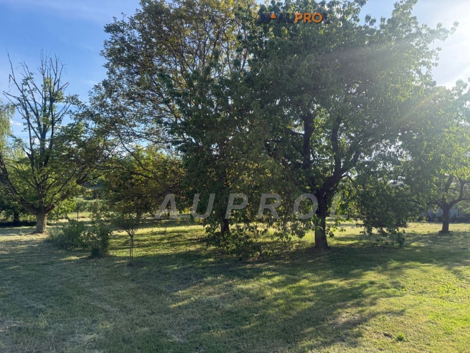 Prodej pozemku 1901 m² - foto 2
