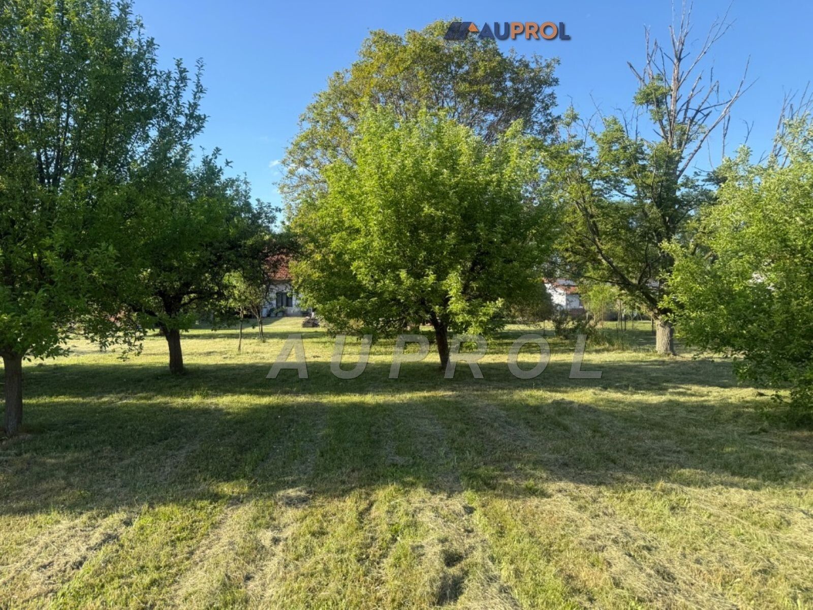 Prodej pozemku 1901 m² - foto 3