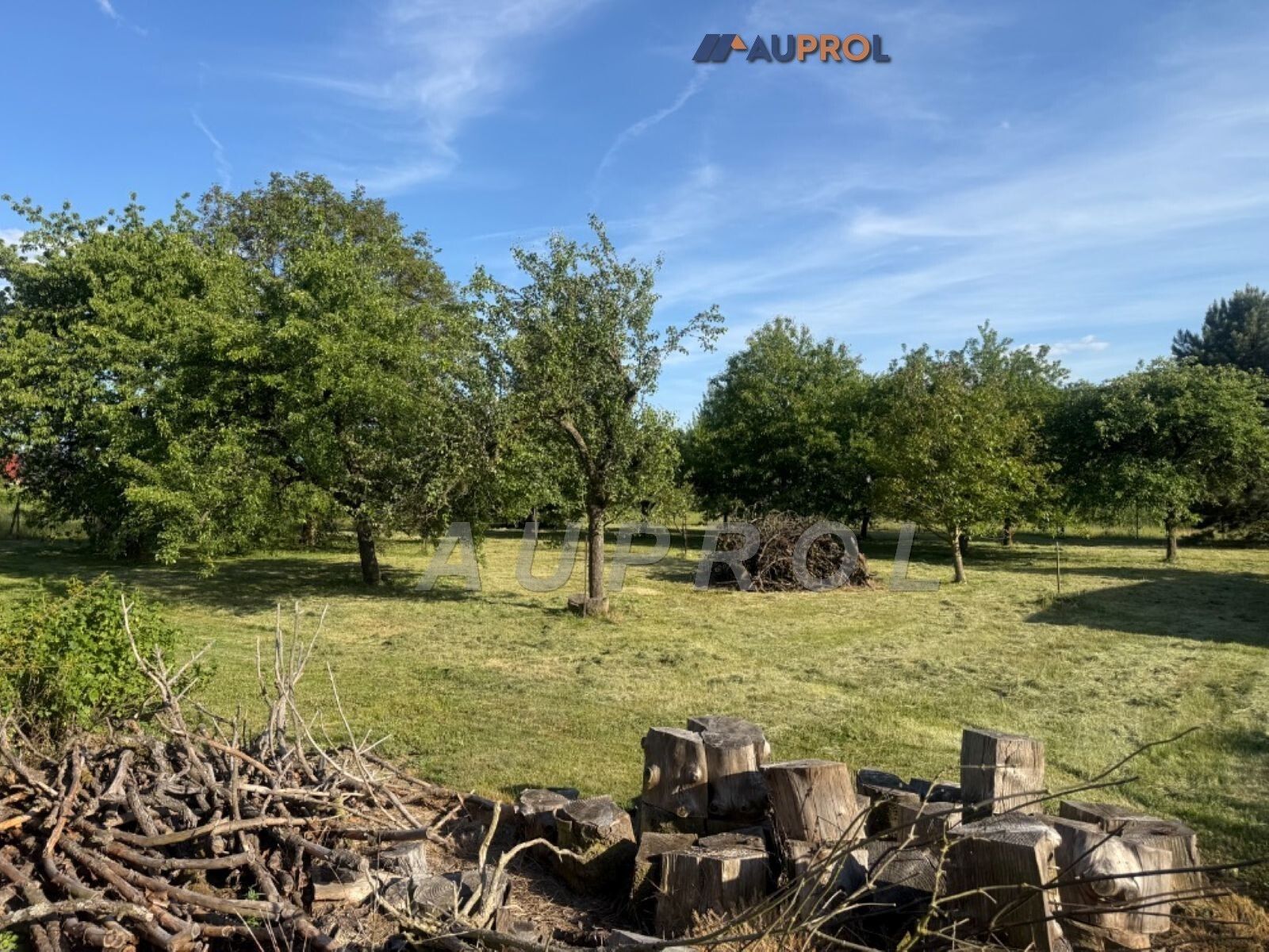 Prodej pozemku 1901 m² - foto 4