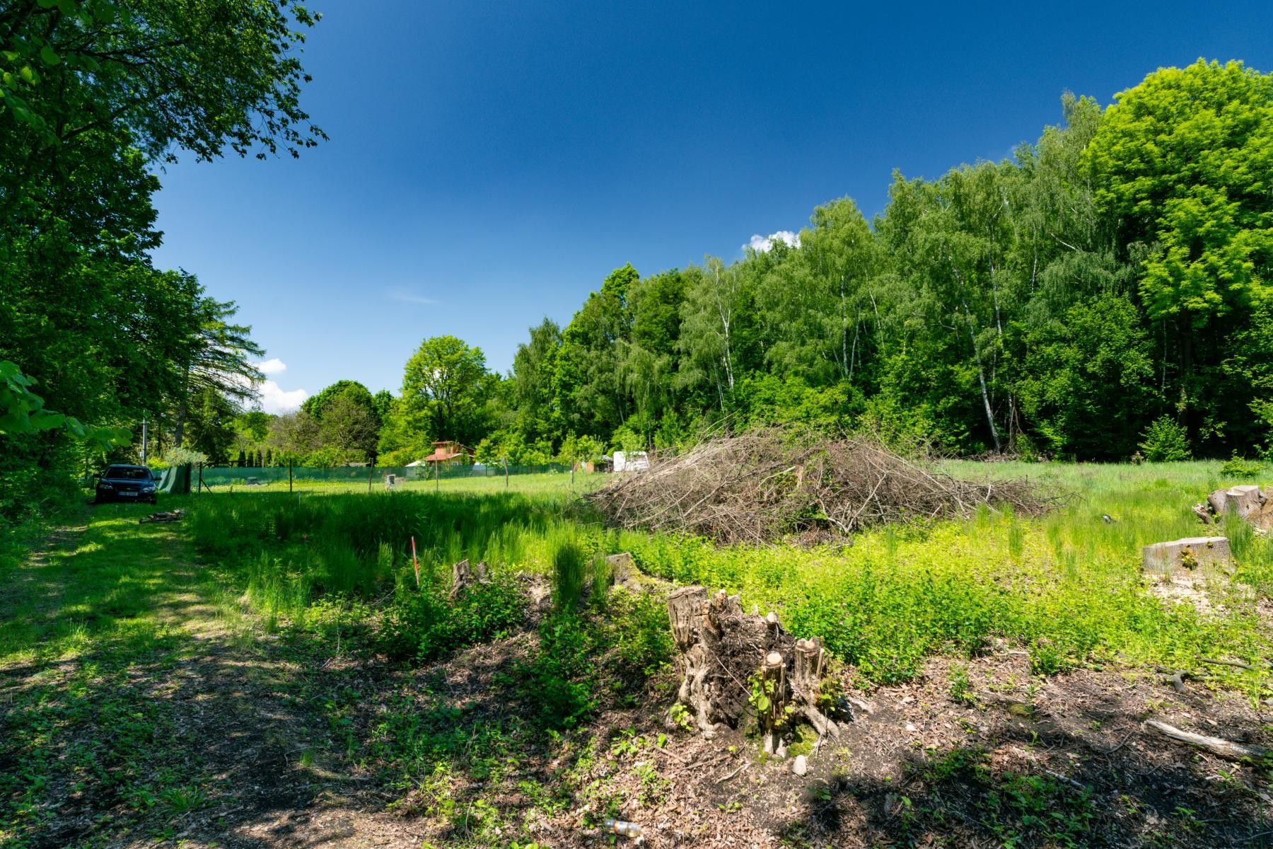 Prodej pozemku 4220 m² - foto 6