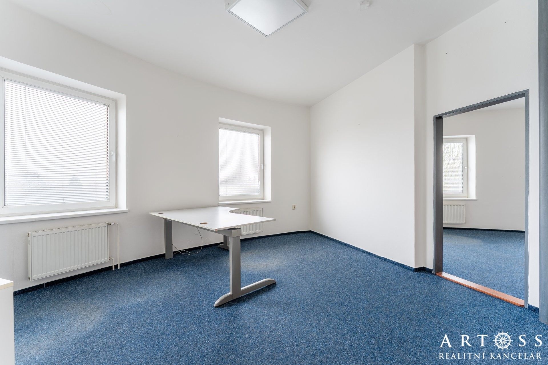 Pronájem komerčního prostoru 230 m² - foto 10