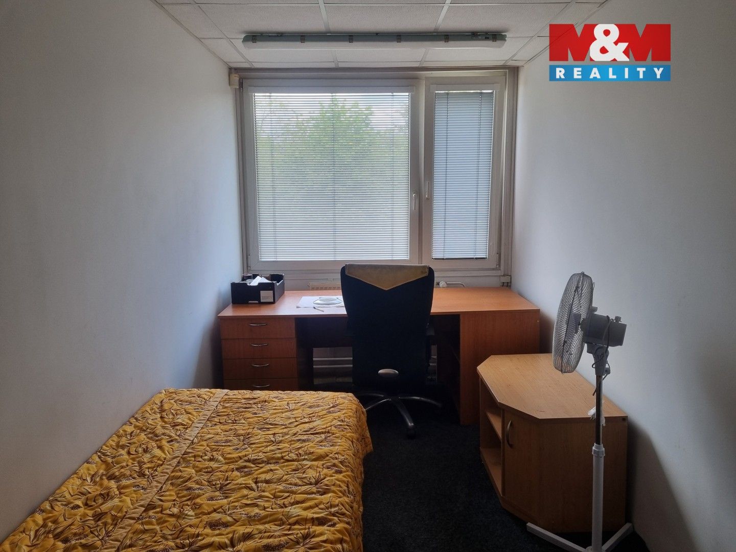Pronájem komerčního prostoru 336 m² - foto 11