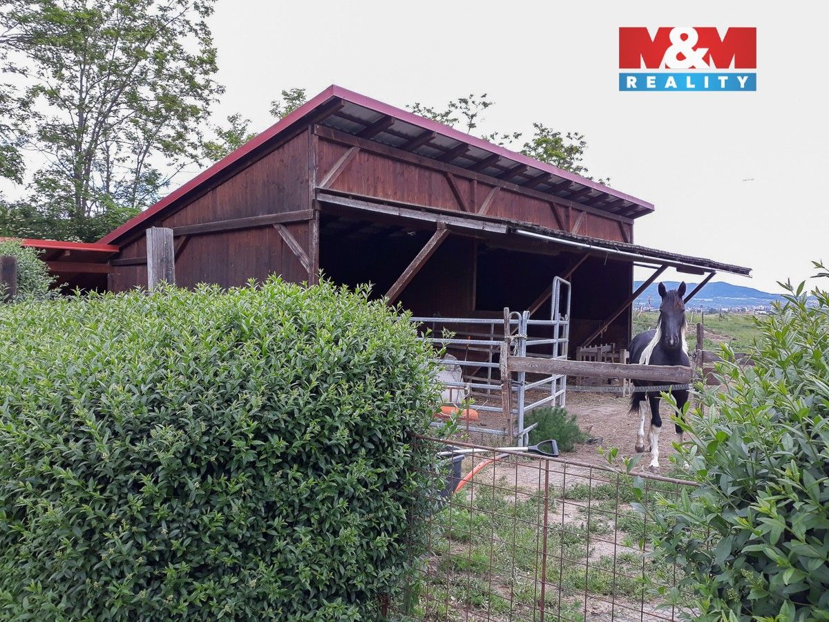Prodej domu 290 m² - foto 6