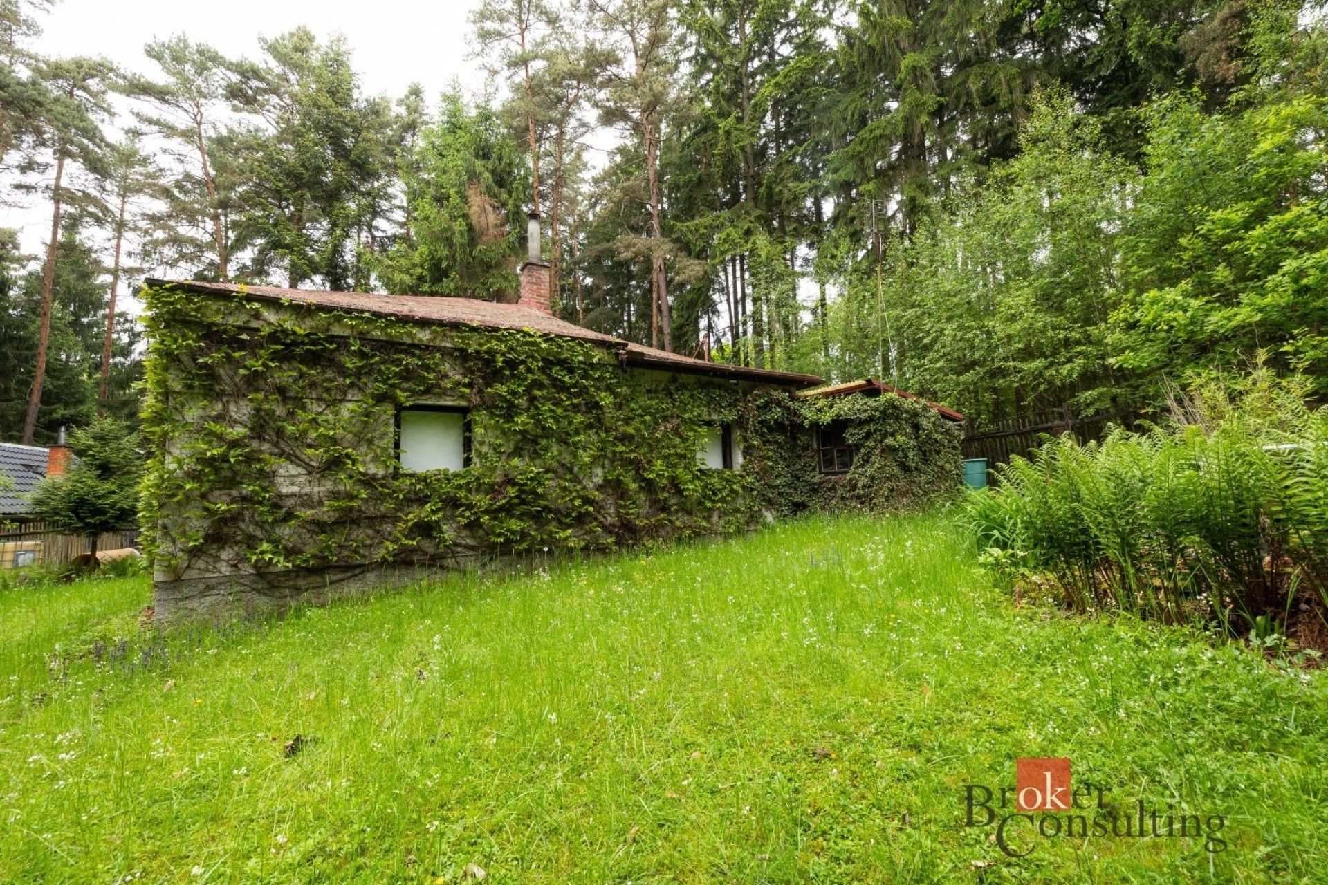 Prodej pozemku 1366 m² - foto 3