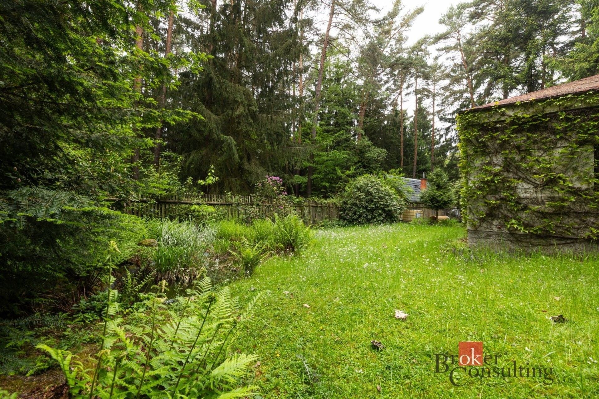 Prodej pozemku 1366 m² - foto 6