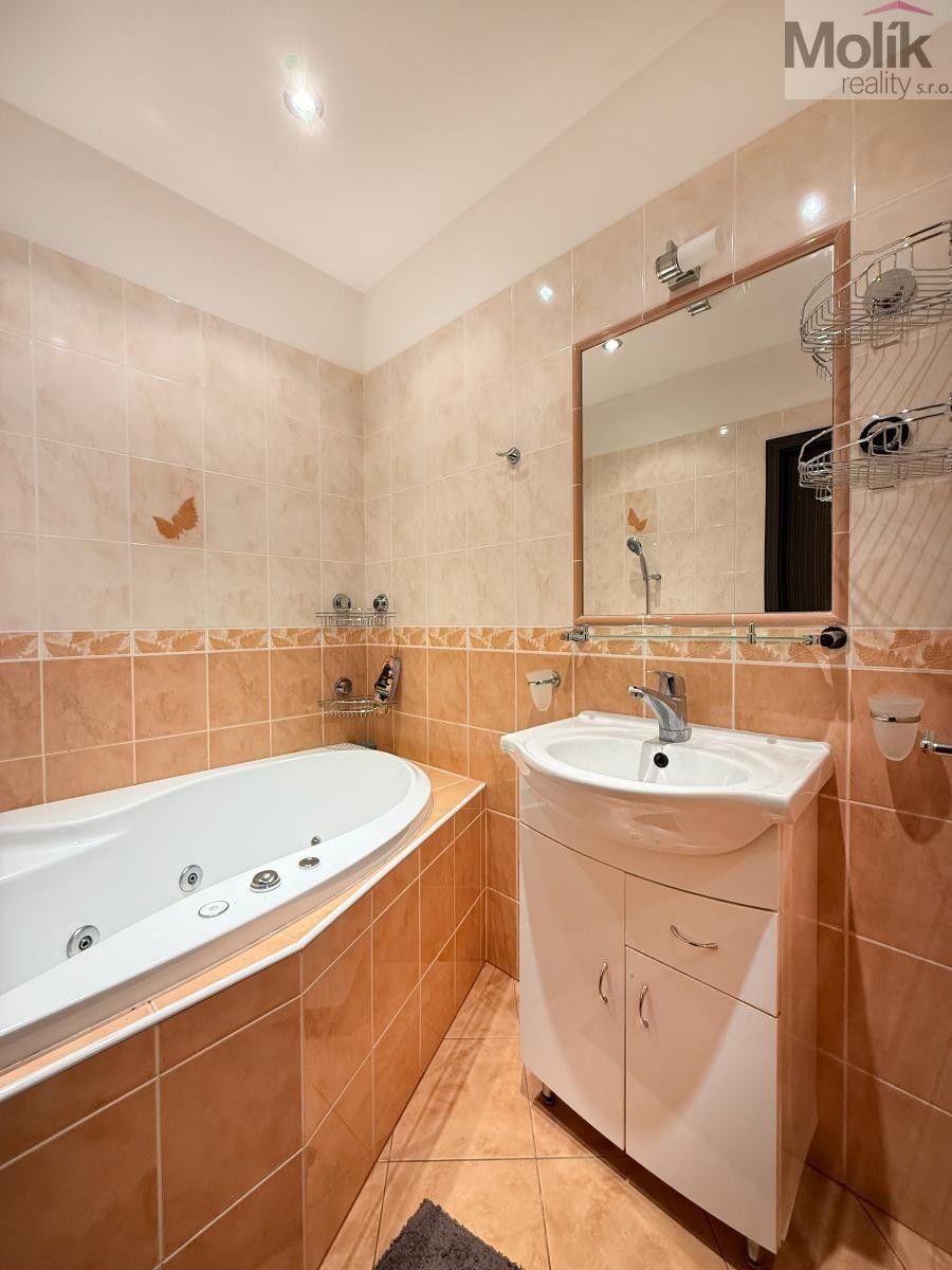 Pronájem bytu 2+1 50 m² - foto 12