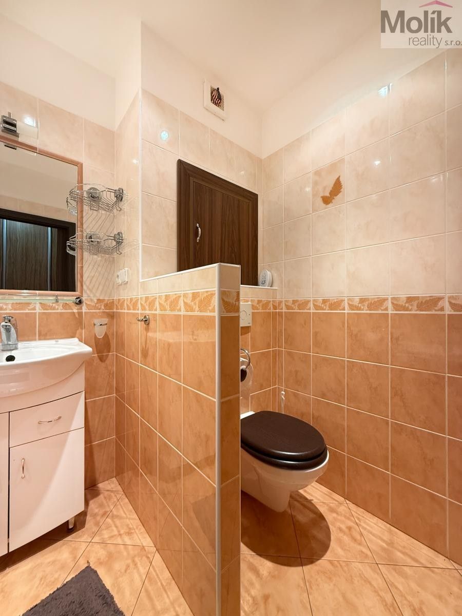 Pronájem bytu 2+1 50 m² - foto 13