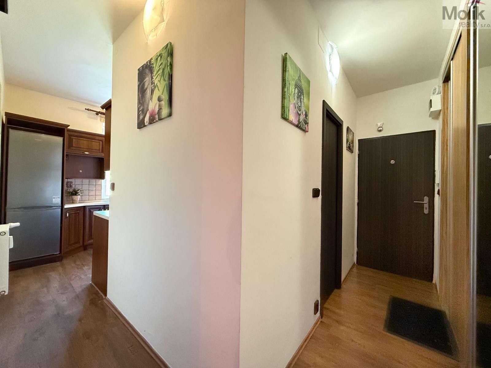 Pronájem bytu 2+1 50 m² - foto 17