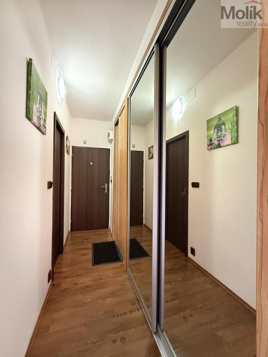 Pronájem bytu 2+1 50 m² - foto 18