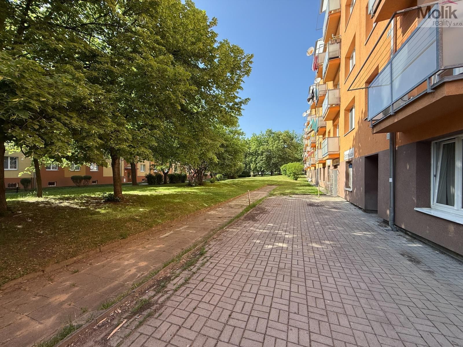 Pronájem bytu 2+1 50 m² - foto 19
