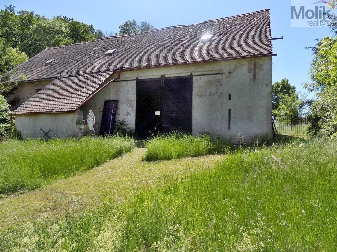 Prodej pozemku 29804 m² - foto 11