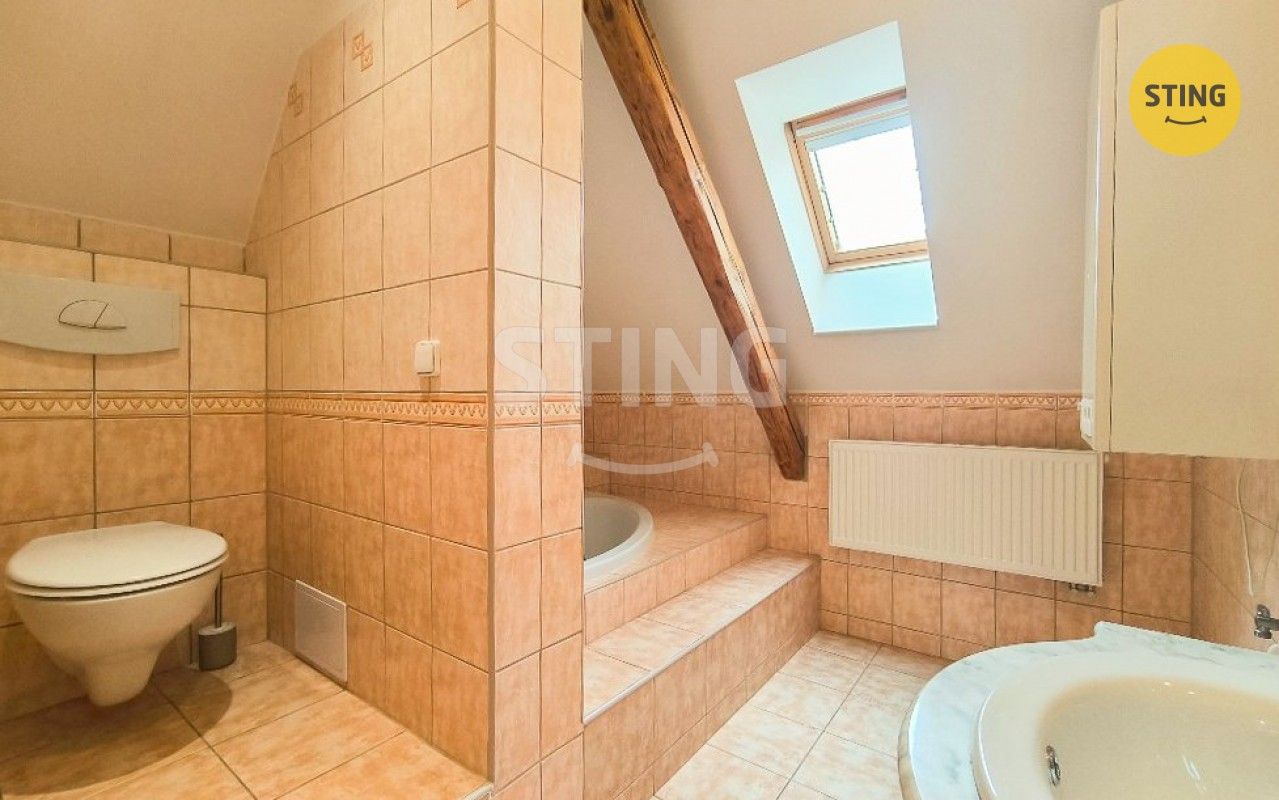 Pronájem bytu 100 m² - foto 13