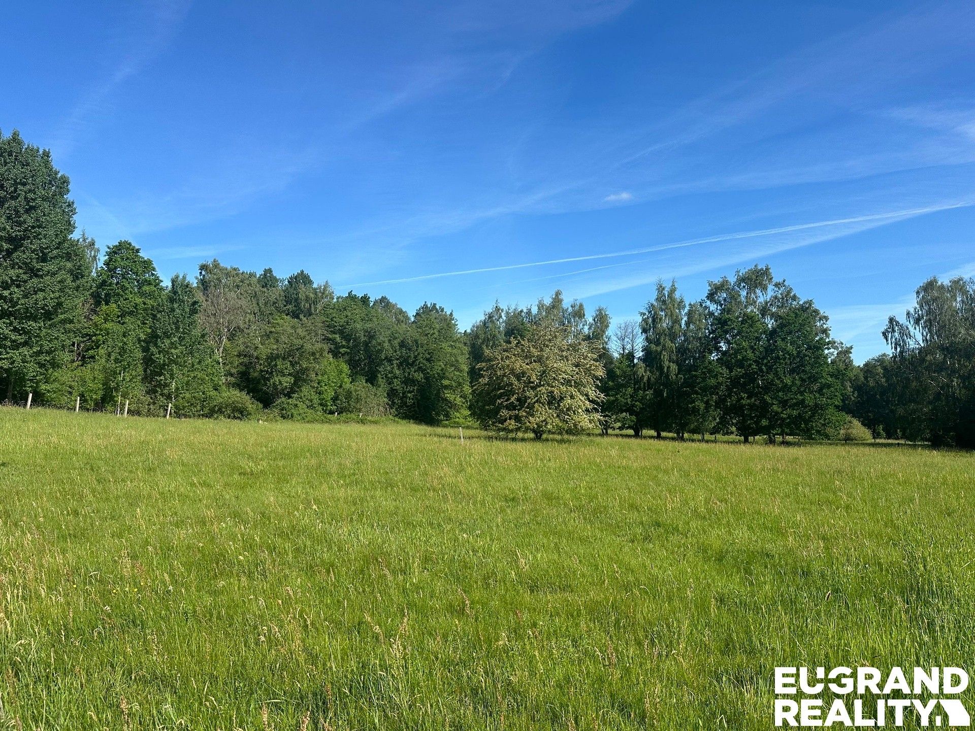 Prodej nemovitosti 37713 m² - foto 3