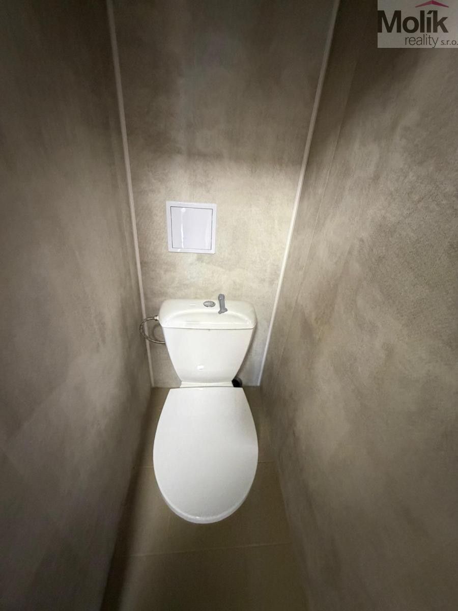Pronájem bytu 2+1 56 m² - foto 10