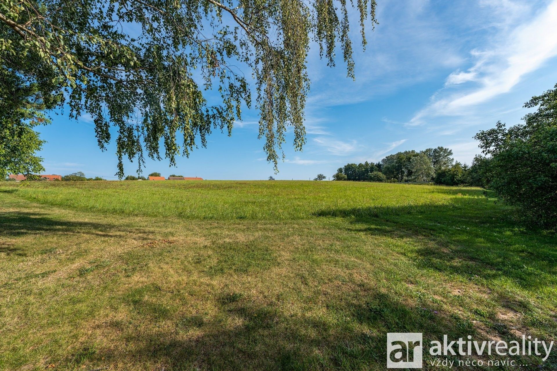 Prodej pozemku 6500 m² - foto 5