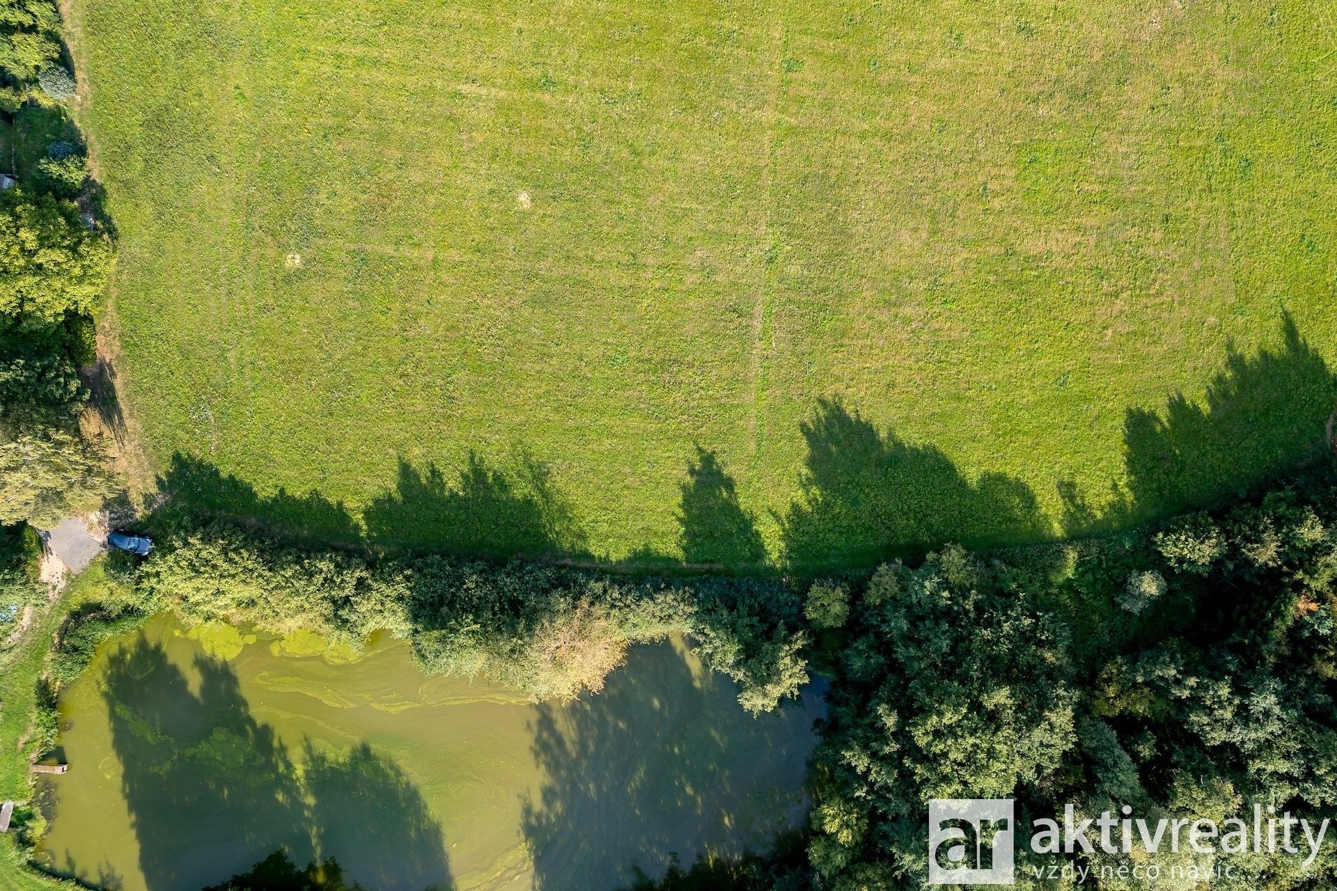 Prodej pozemku 6500 m² - foto 4