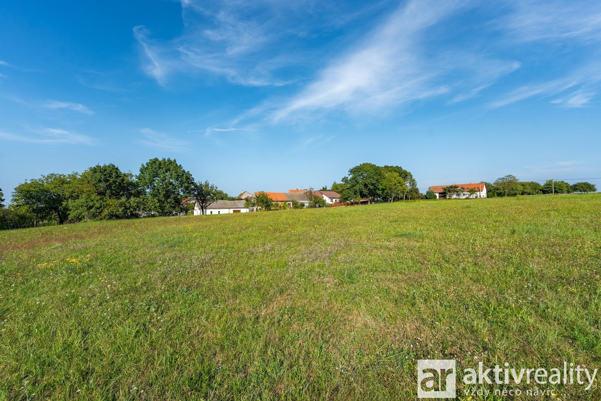 Prodej pozemku 6500 m² - foto 8