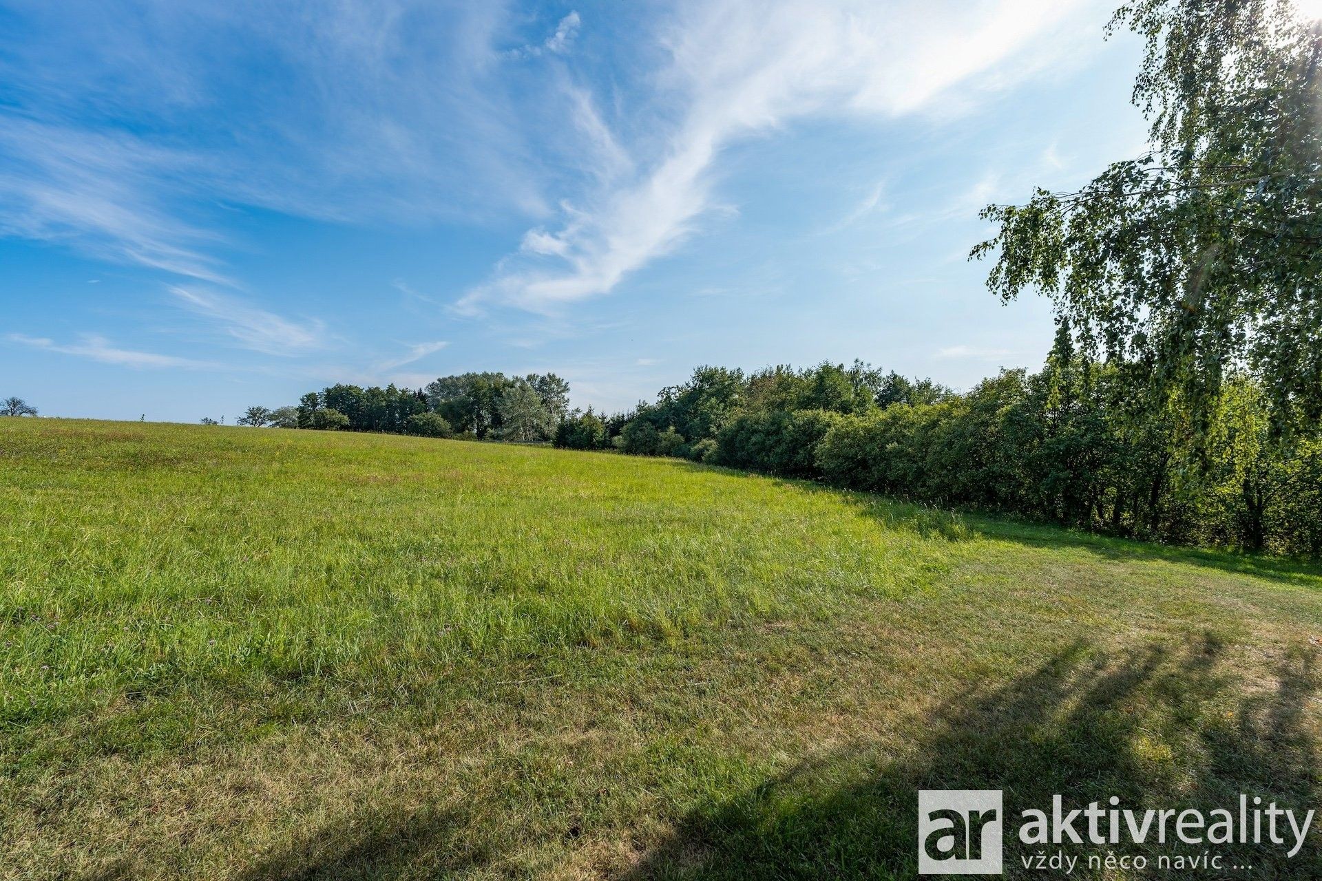 Prodej pozemku 6500 m² - foto 9