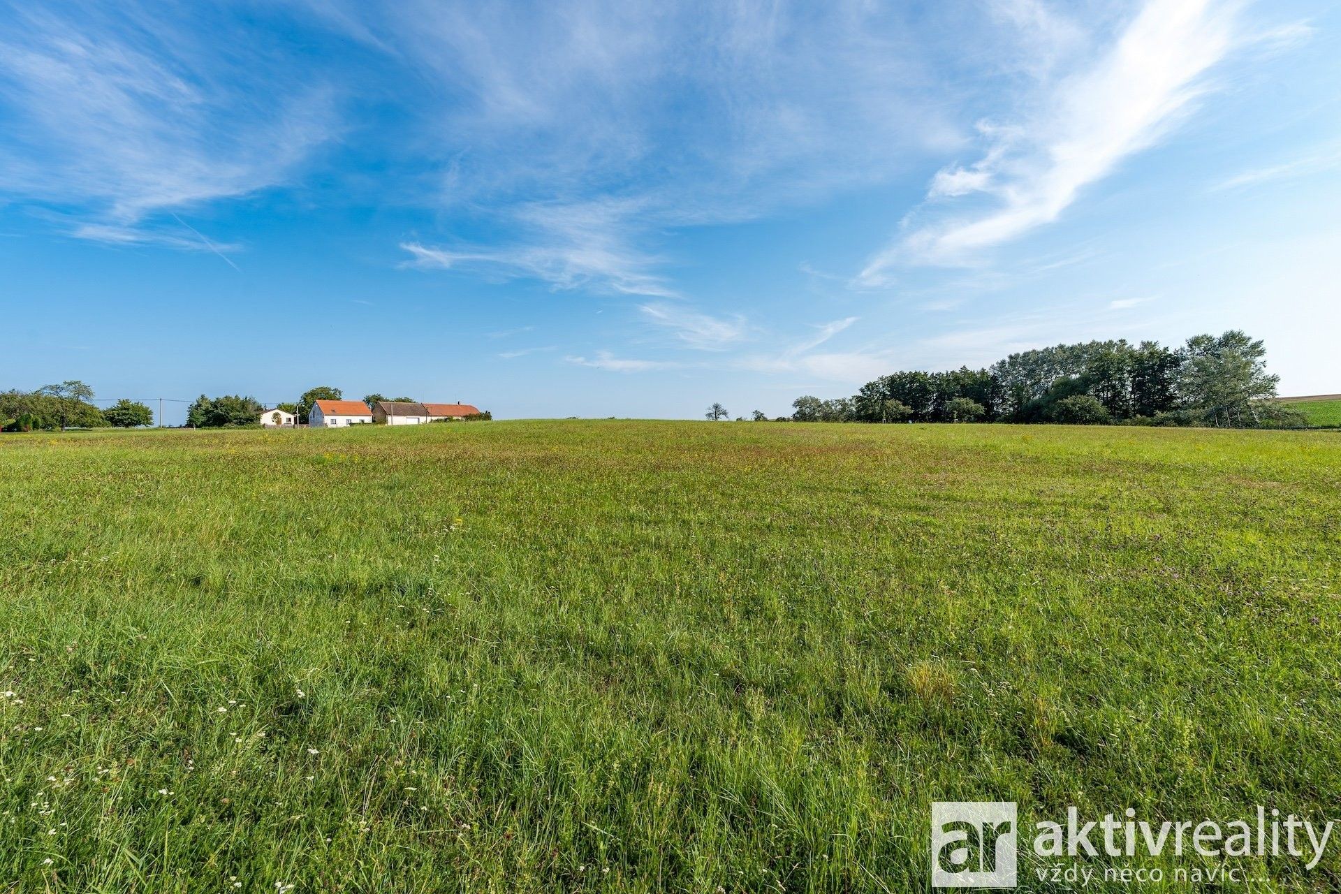 Prodej pozemku 6500 m² - foto 10