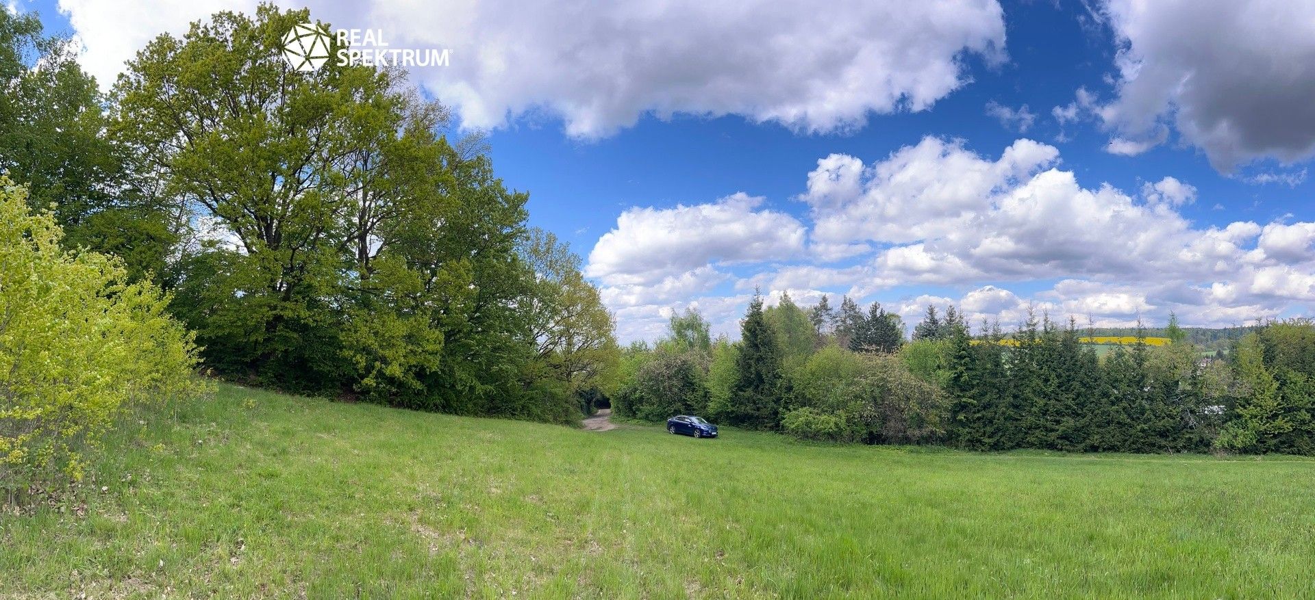 Prodej pozemku 4838 m² - foto 4