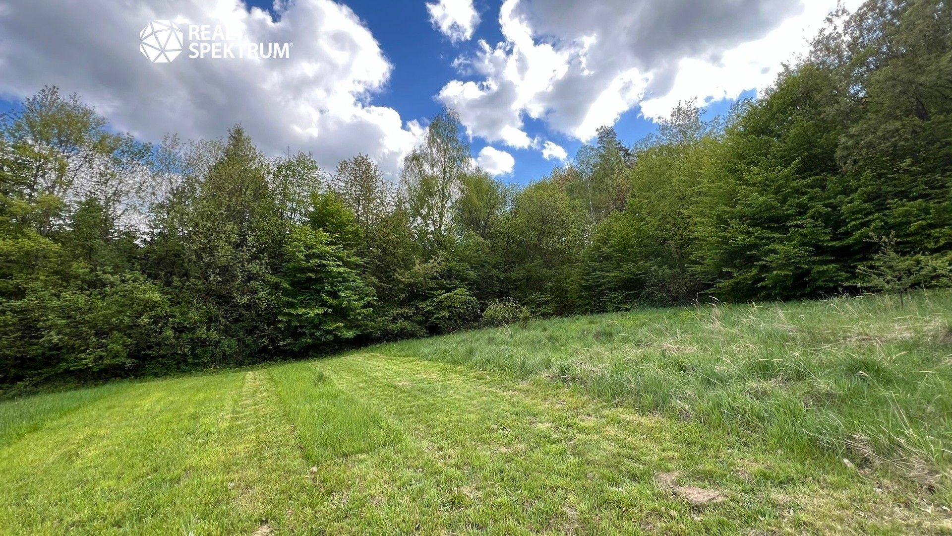 Prodej pozemku 4838 m² - foto 6
