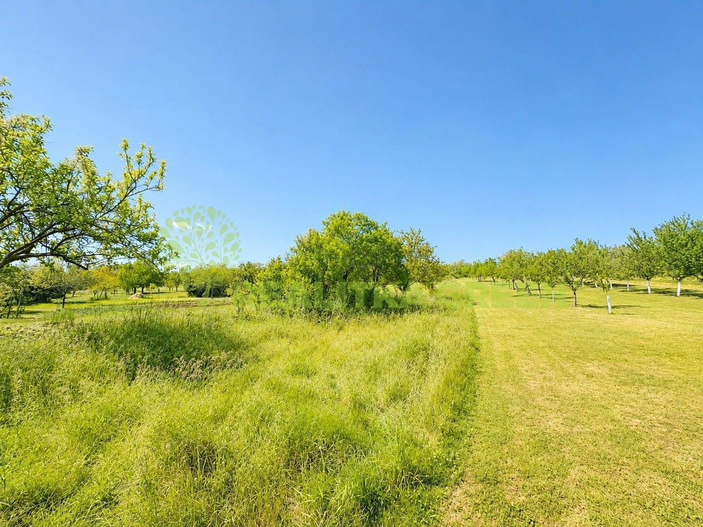 Prodej domu 150 m² - foto 18