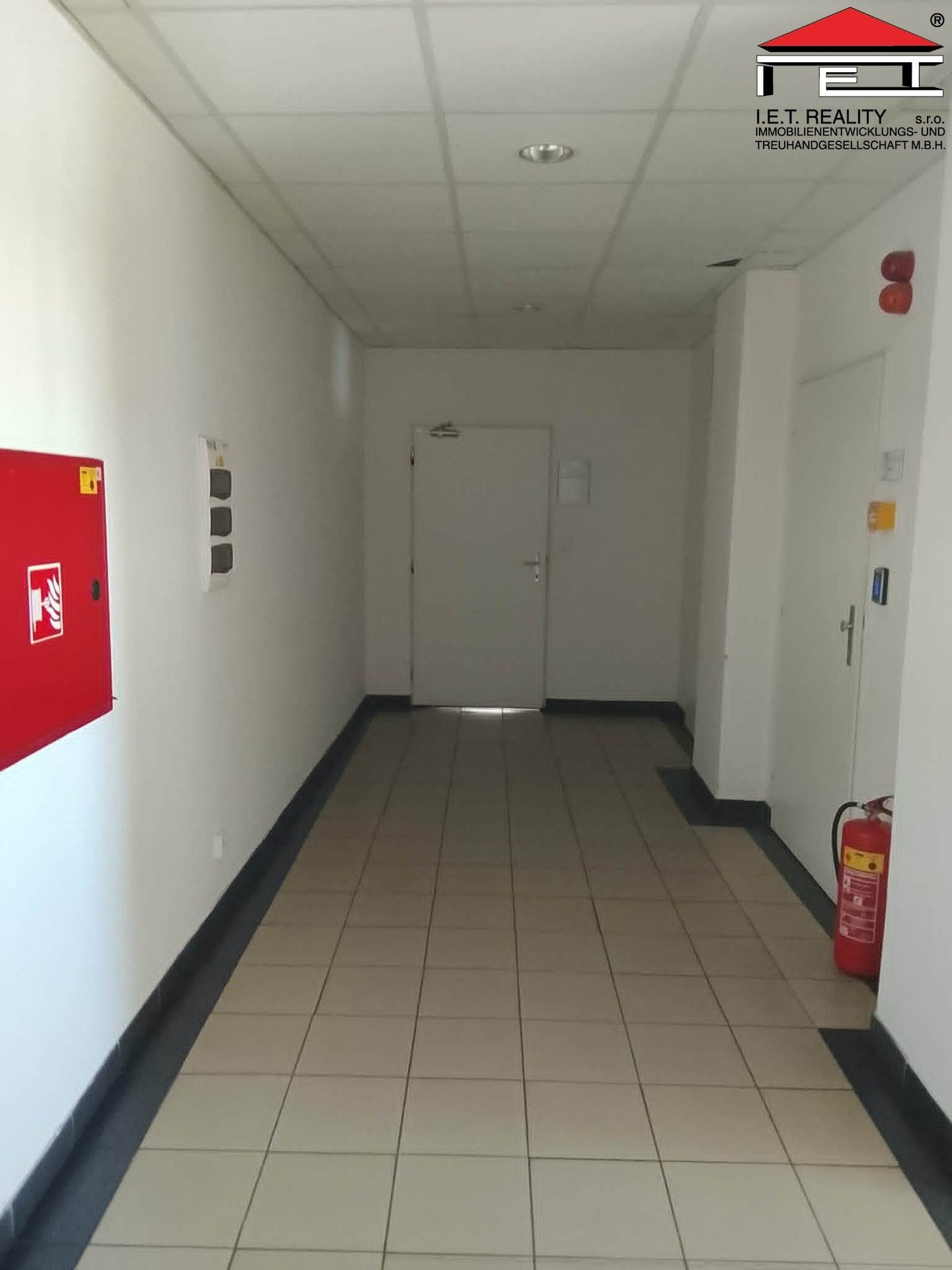 Pronájem komerčního prostoru 227 m² - foto 4
