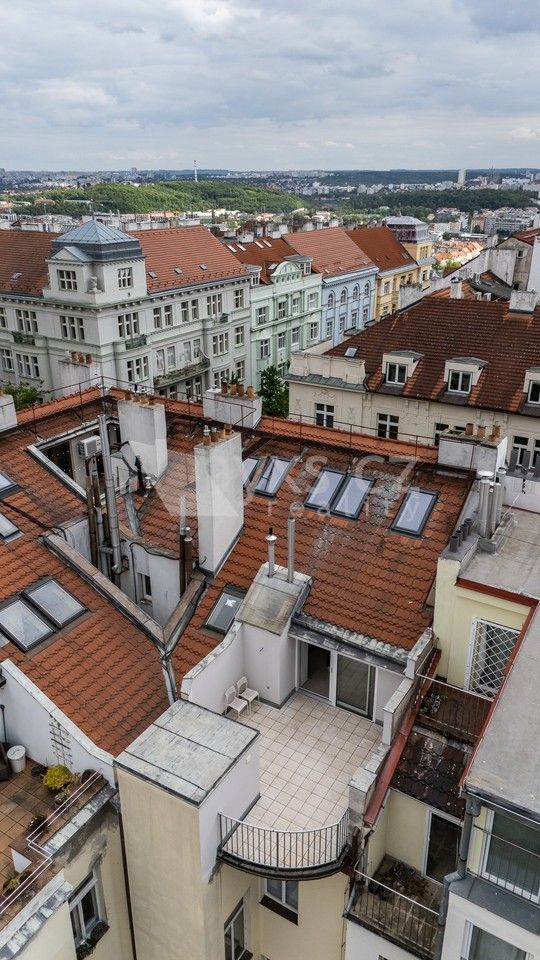 Pronájem bytu 3+kk 135 m² - foto 12