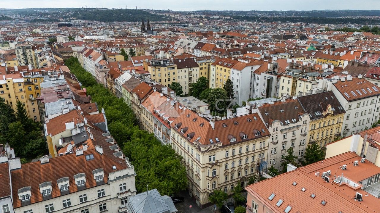 Pronájem bytu 3+kk 135 m² - foto 14