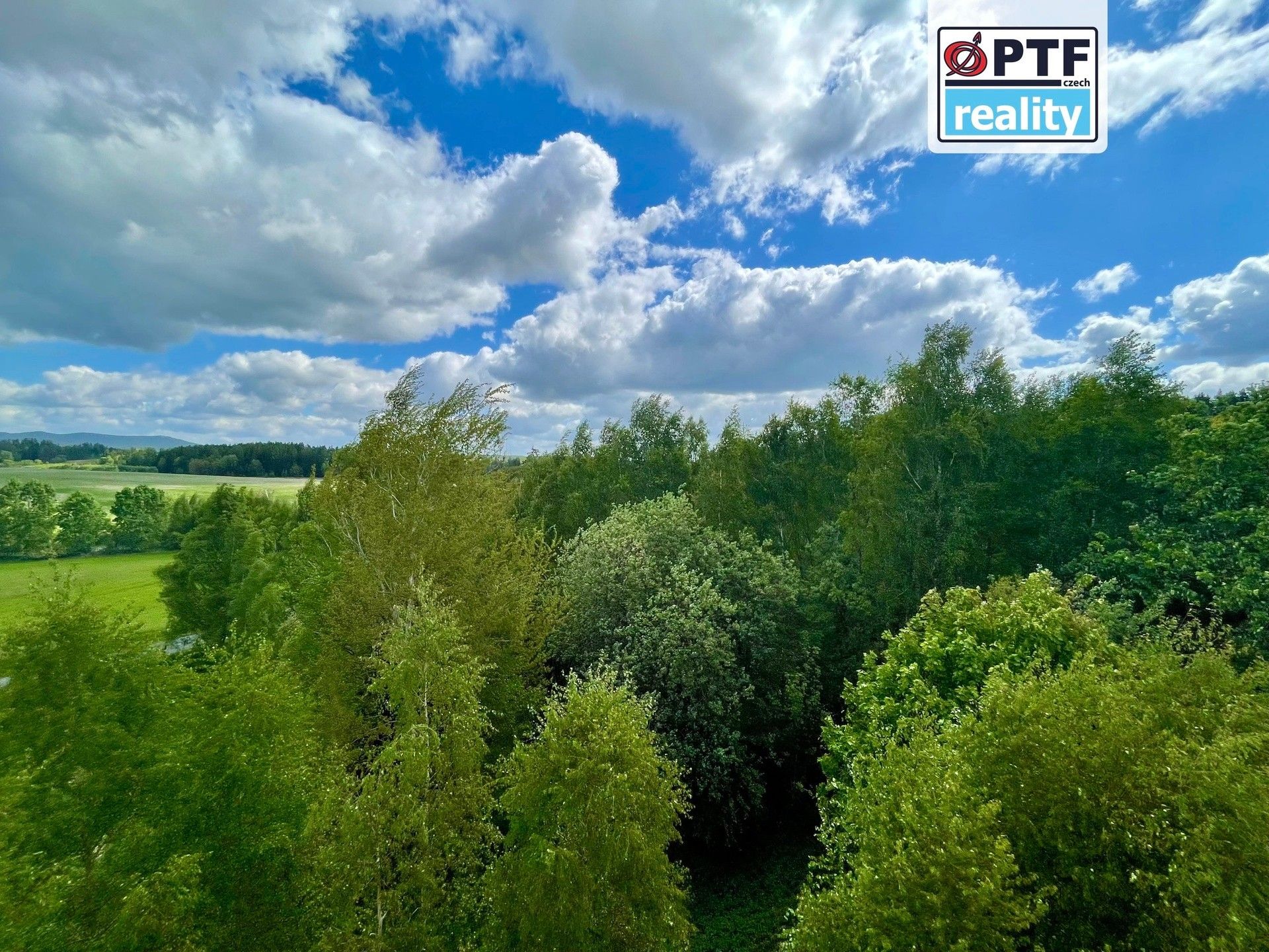 Prodej komerčního prostoru 8000 m² - foto 22