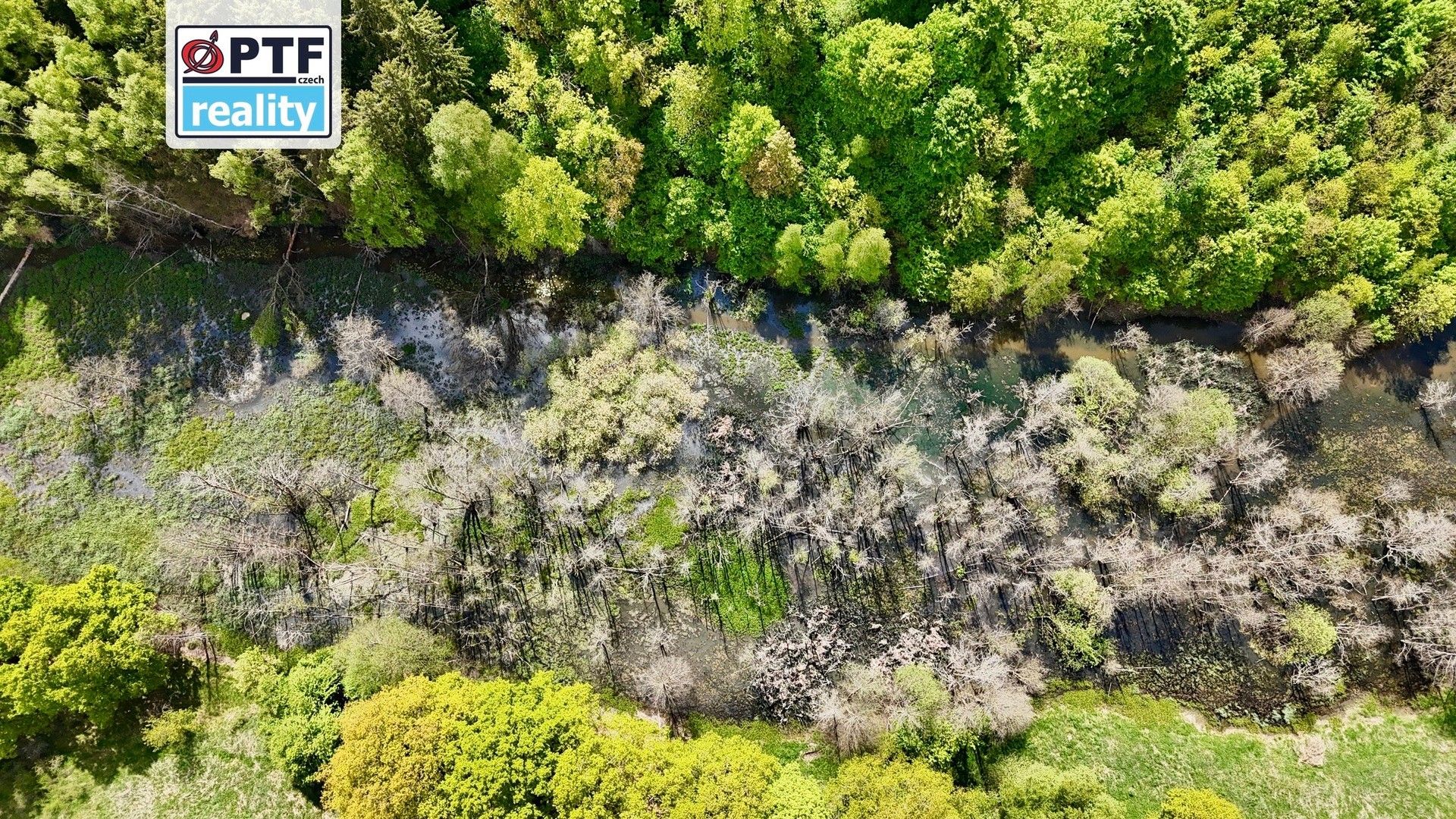 Prodej komerčního prostoru 8000 m² - foto 17