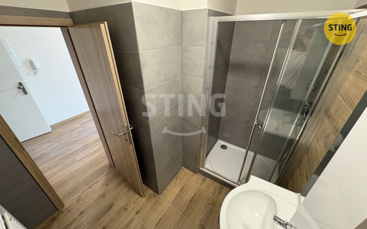 Pronájem bytu 1+kk 47 m² - foto 12