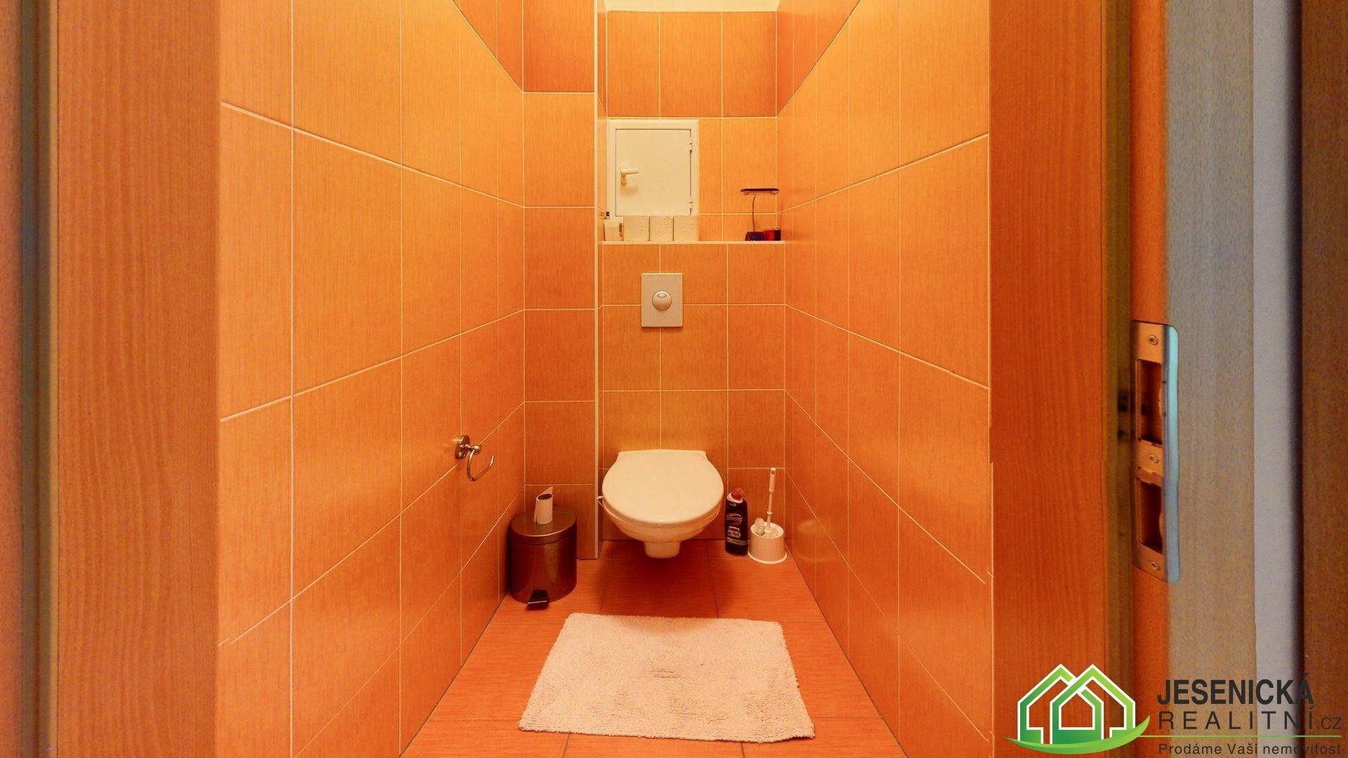 Prodej nemovitosti 60 m² - foto 13