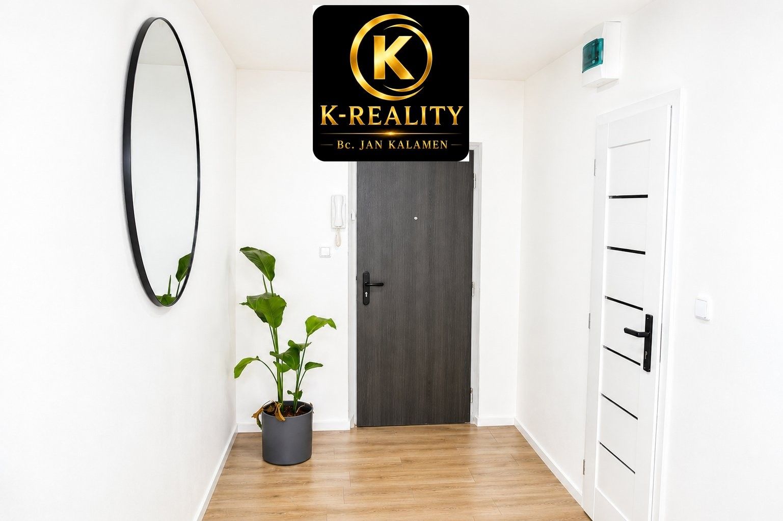 Pronájem bytu 3+kk 52 m² - foto 3
