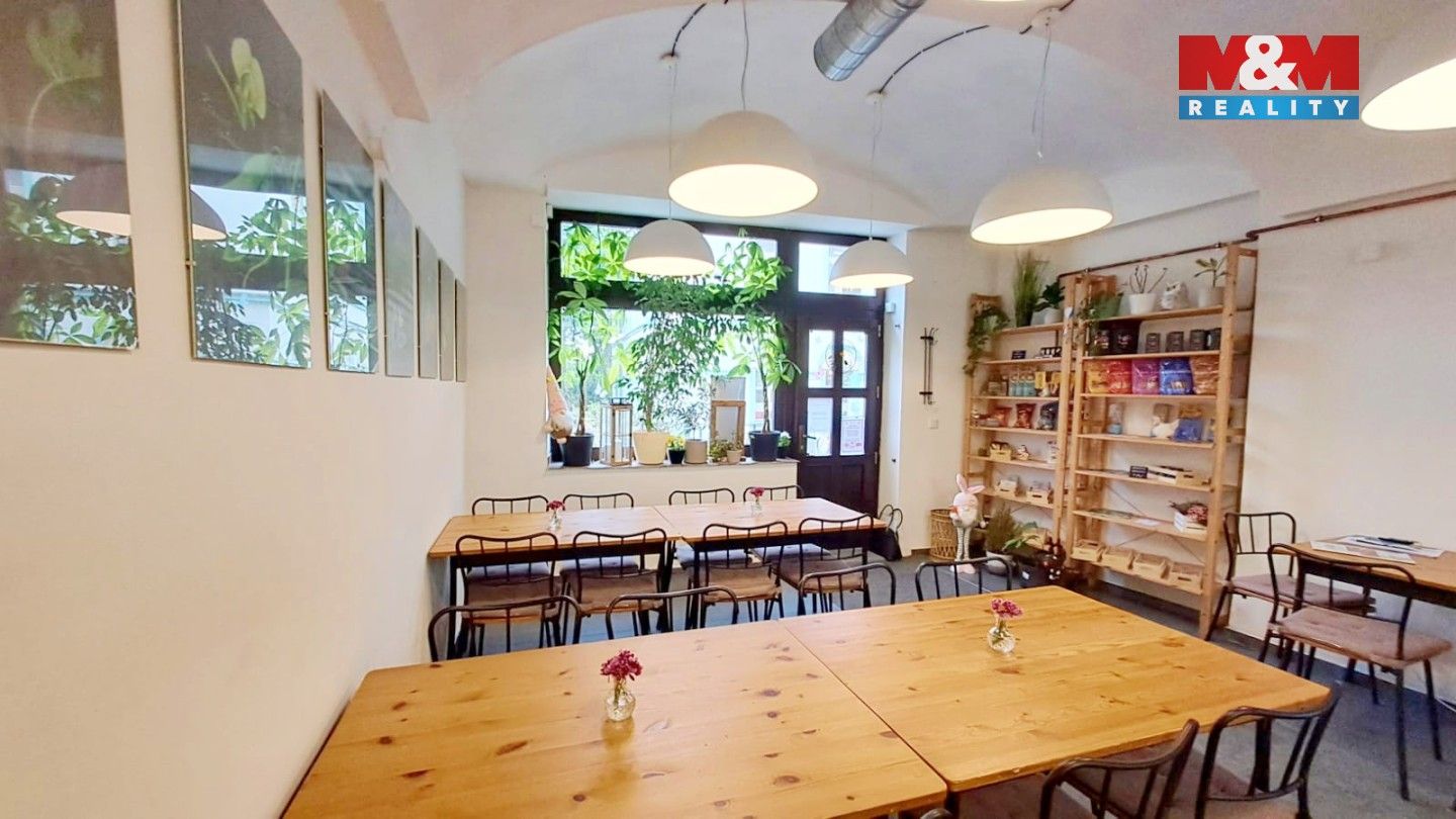Pronájem komerčního prostoru 45 m² - foto 8