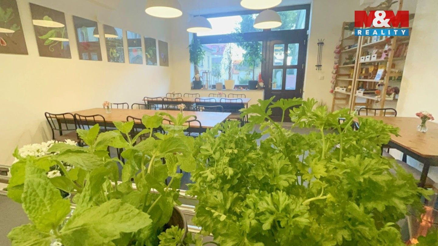 Pronájem komerčního prostoru 45 m² - foto 10