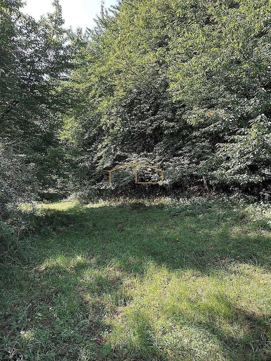 Prodej nemovitosti 3453 m² - foto 6