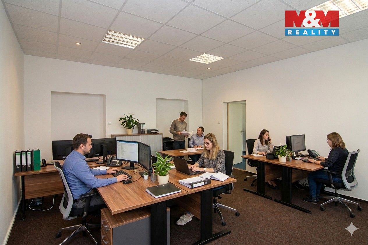 Pronájem komerčního prostoru 215 m² - foto 13
