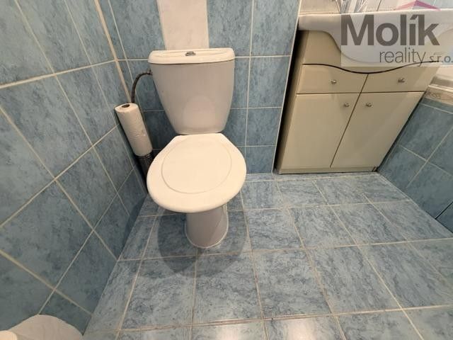 Pronájem bytu 2+1 55 m² - foto 9