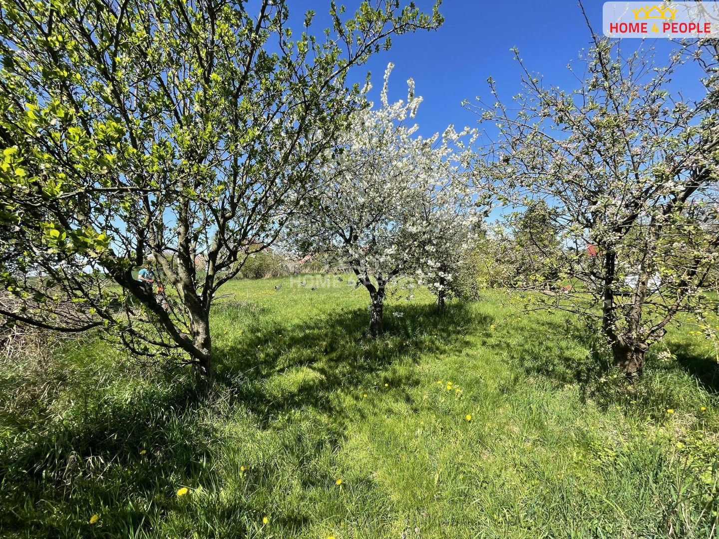 Prodej domu 84 m² - foto 19