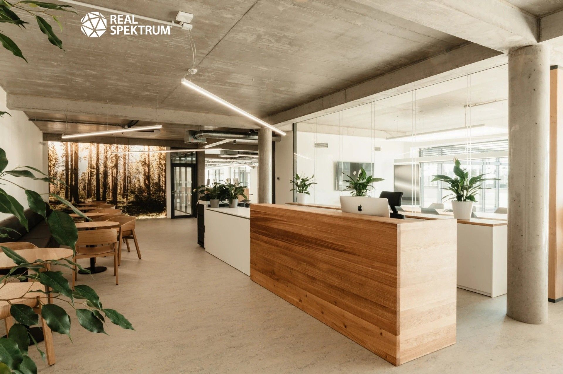 Prodej komerčního prostoru 823 m² - foto 1