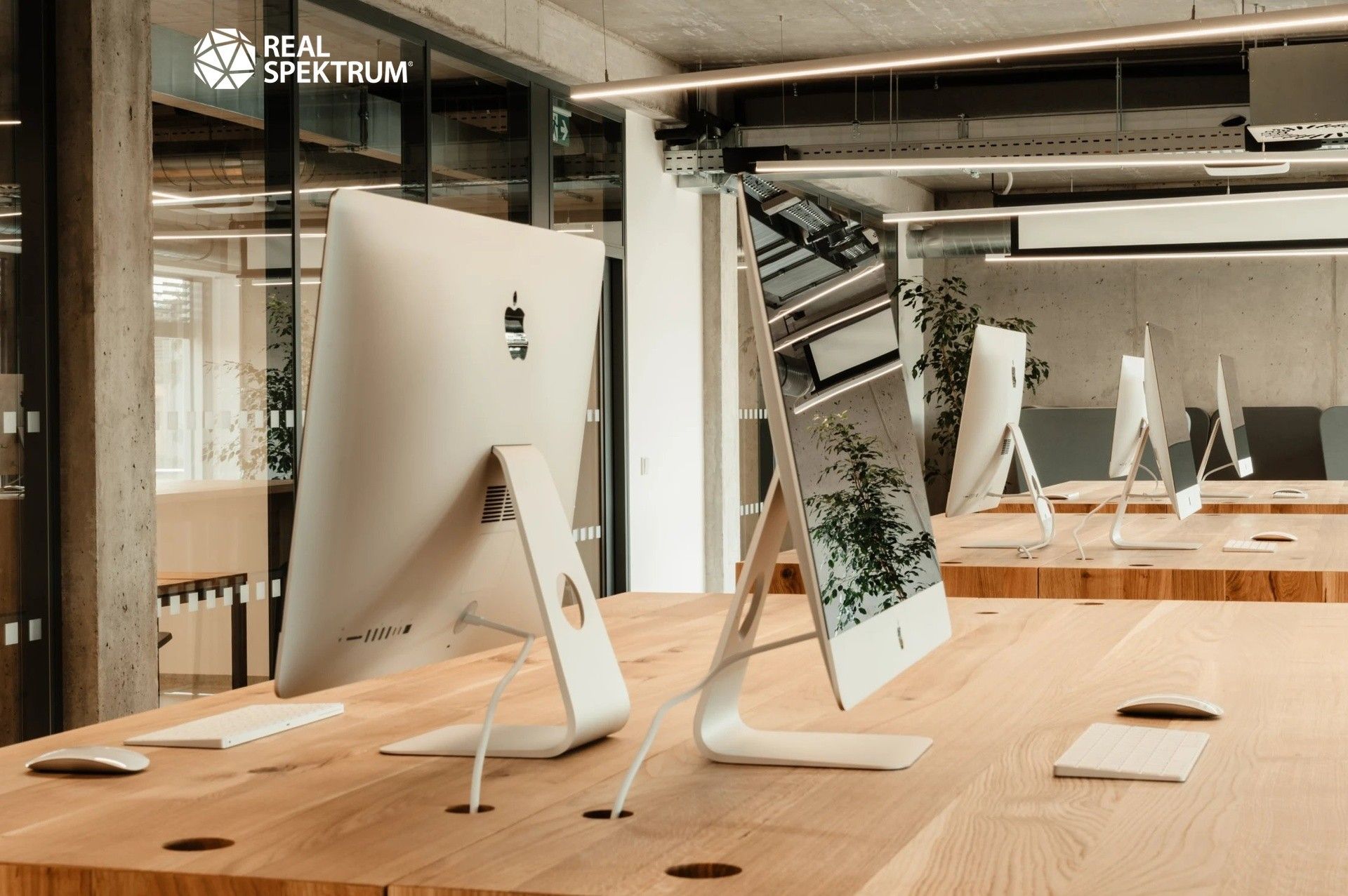 Prodej komerčního prostoru 823 m² - foto 11