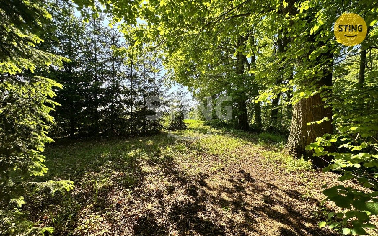 Prodej domu 50 m² - foto 19