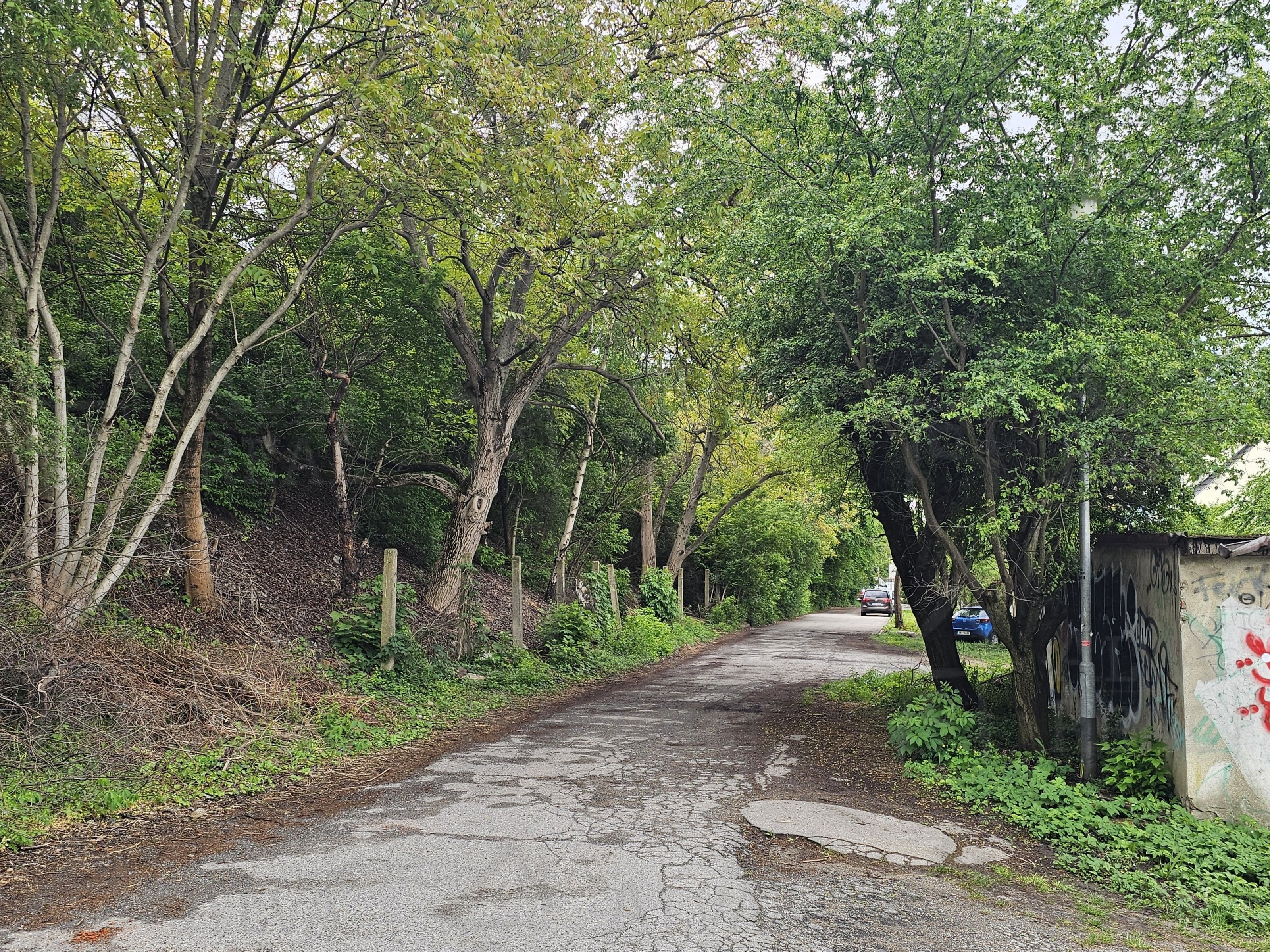 Prodej nemovitosti 22 m² - foto 6