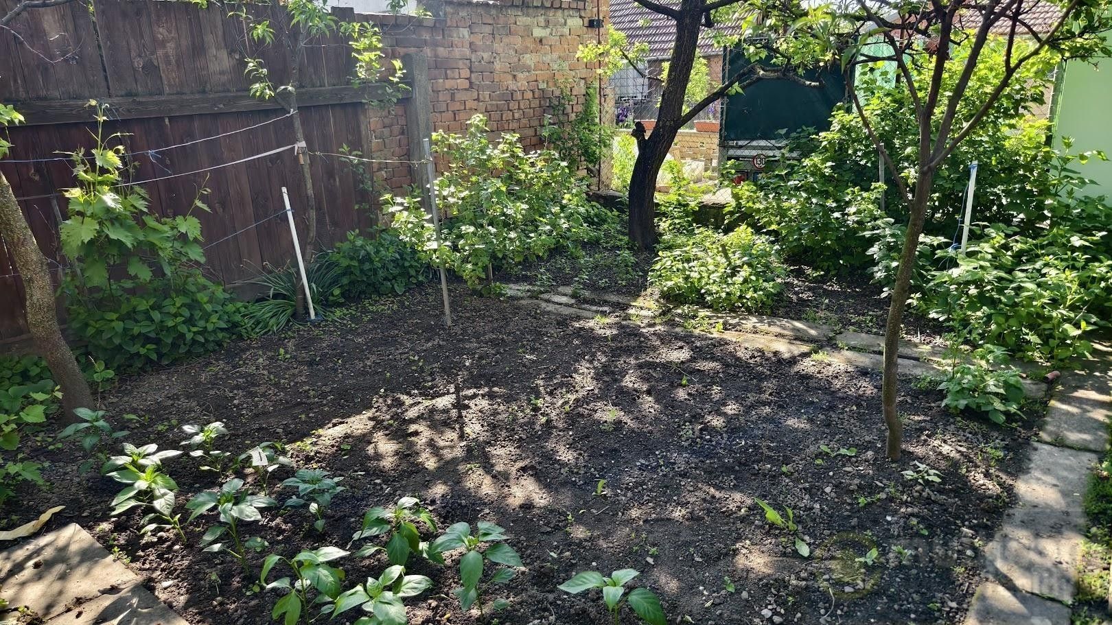 Prodej nemovitosti 285 m² - foto 17